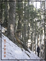2011-03-08 08-09-24-黑森林踏雪行.JPG